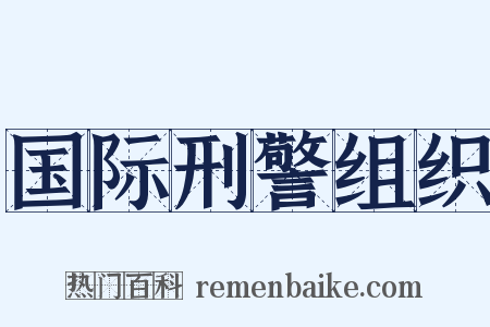 国际刑警组织是什么意思的图片